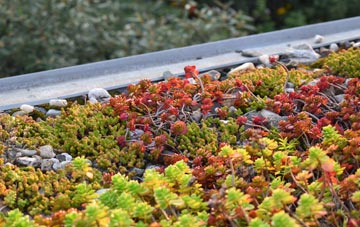 the cost of Challaborough green roof installation