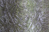 Challaborough fibreglass roof work